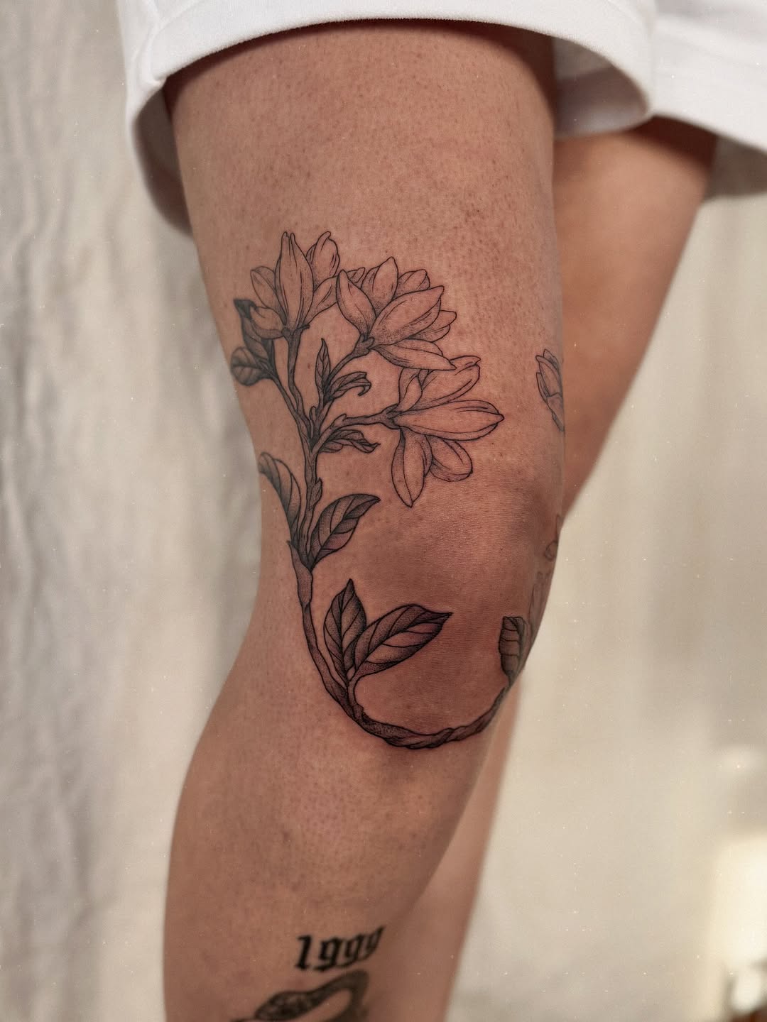 Tattoo by @hillary_blair — fine_line, black_and_grey