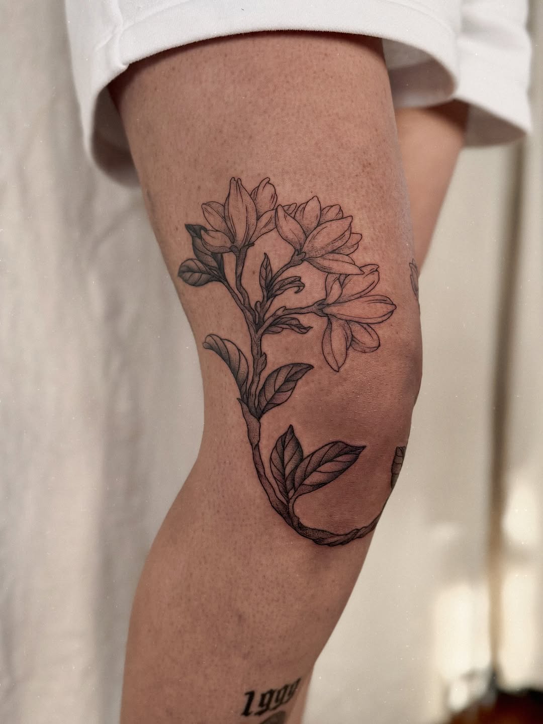 Tattoo by @hillary_blair — fine_line, black_and_grey