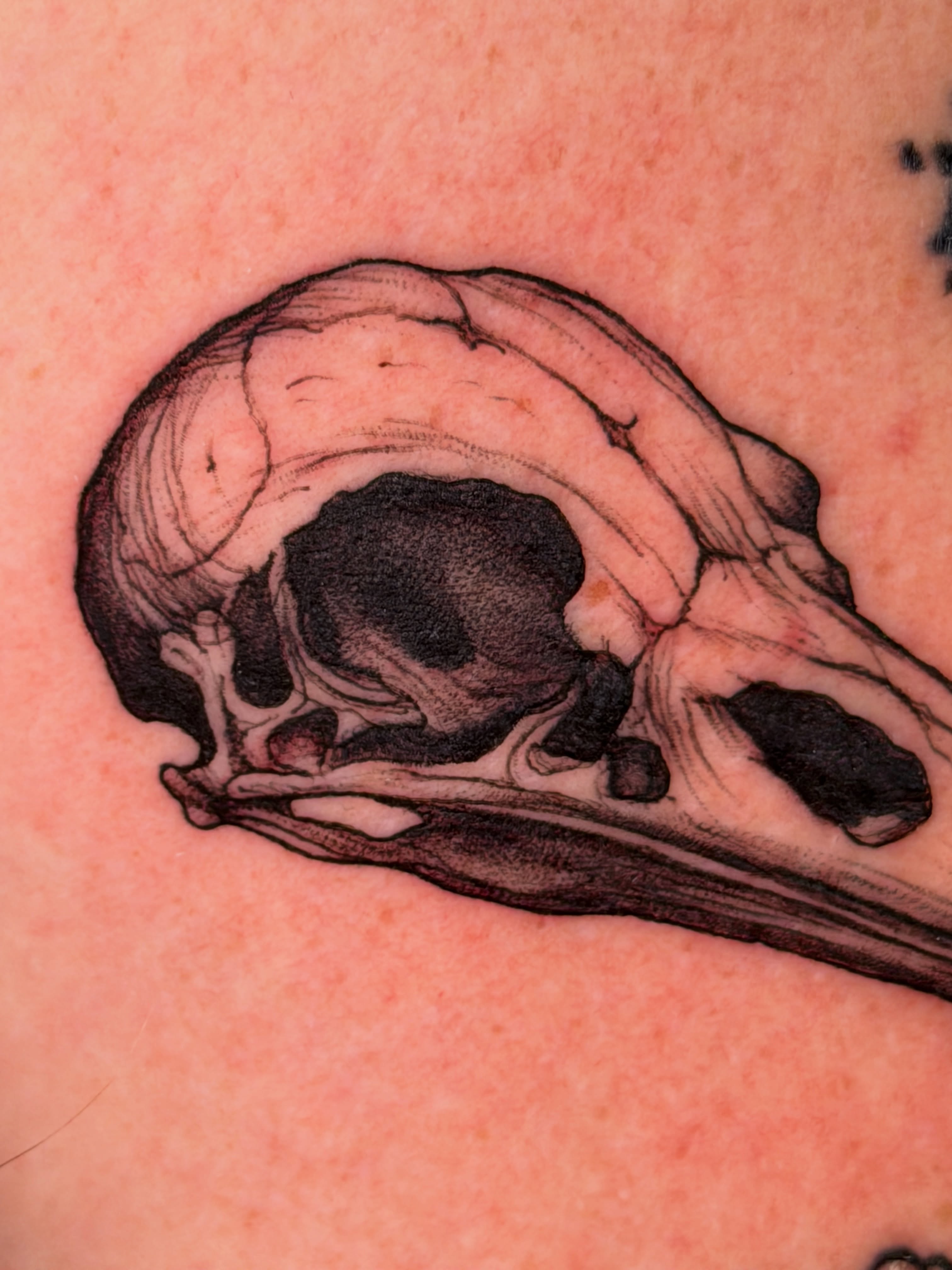 Tattoo by @brikrangeltattoo — black_and_grey, realism