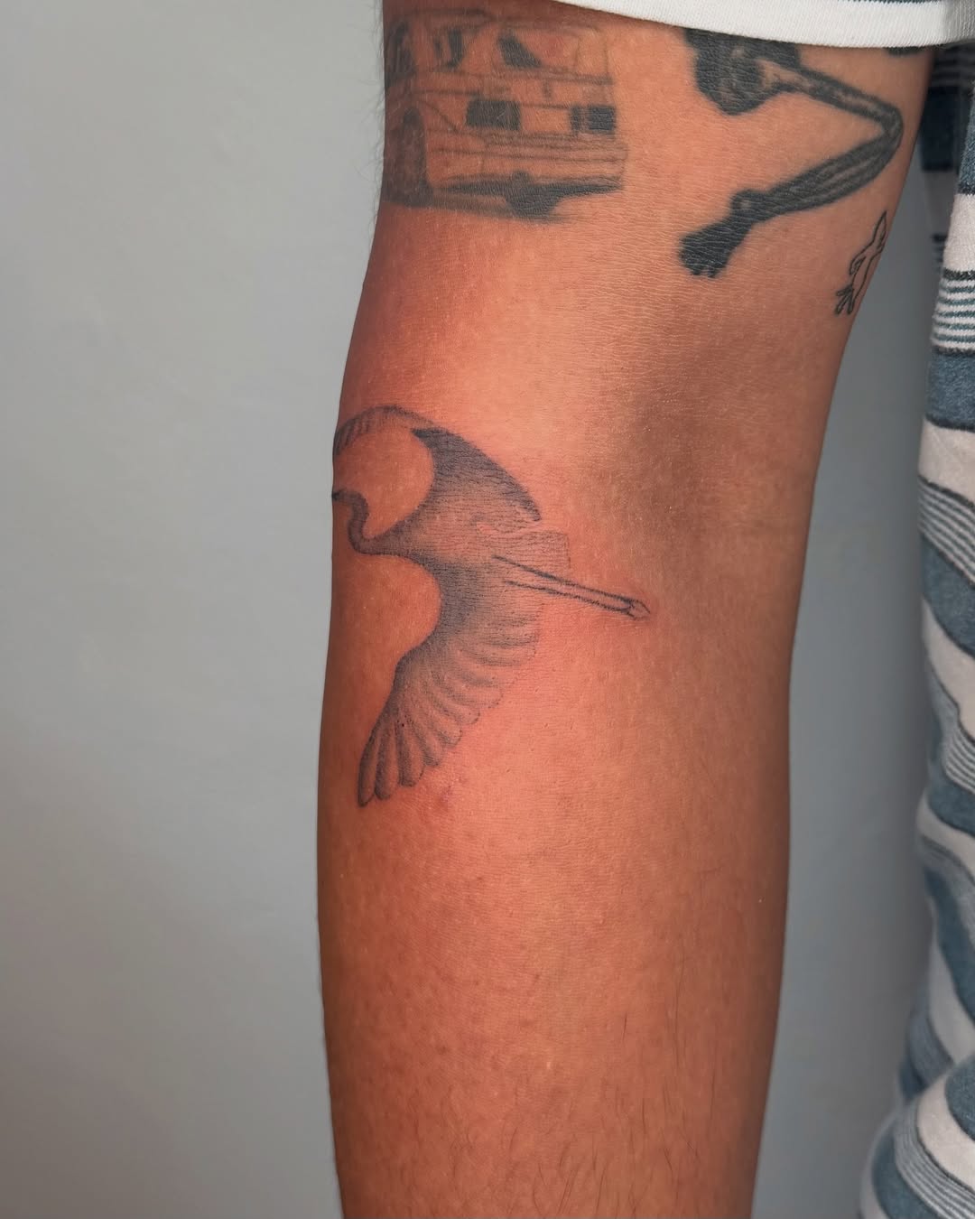 Tattoo by @sensitive.chaos.tattoo — fine_line, black_and_grey