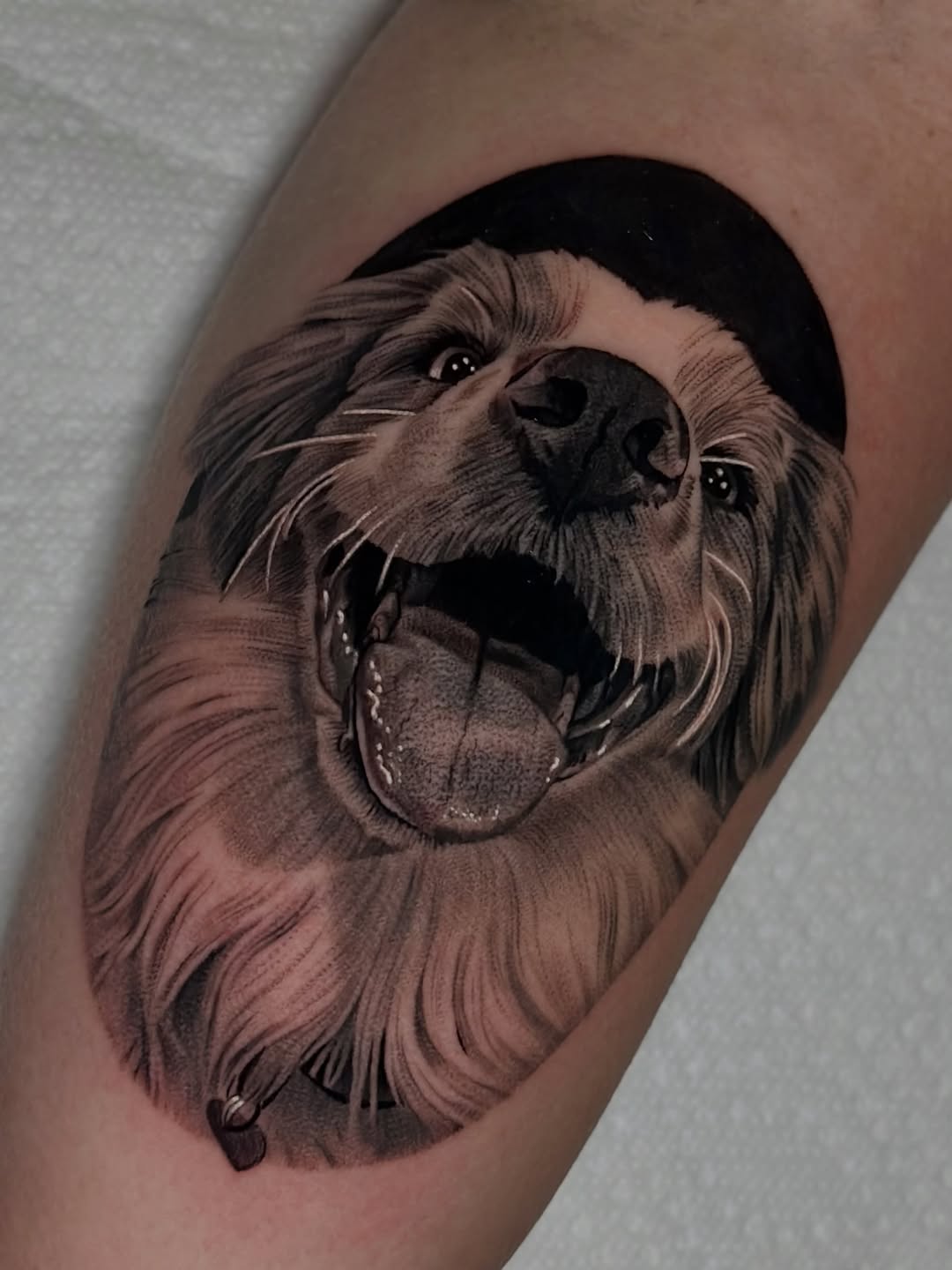 Tattoo by @katiektattoos โ realism, black_and_grey