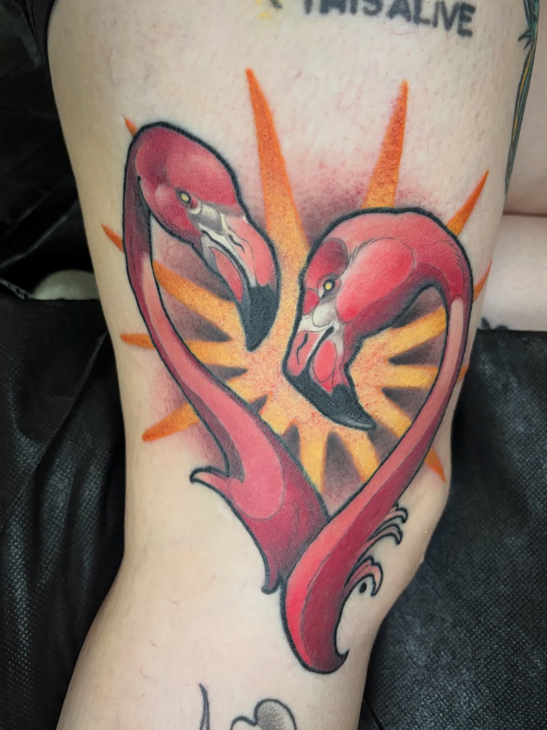 Tattoo by @alexgregorytattoo — neo_traditional
