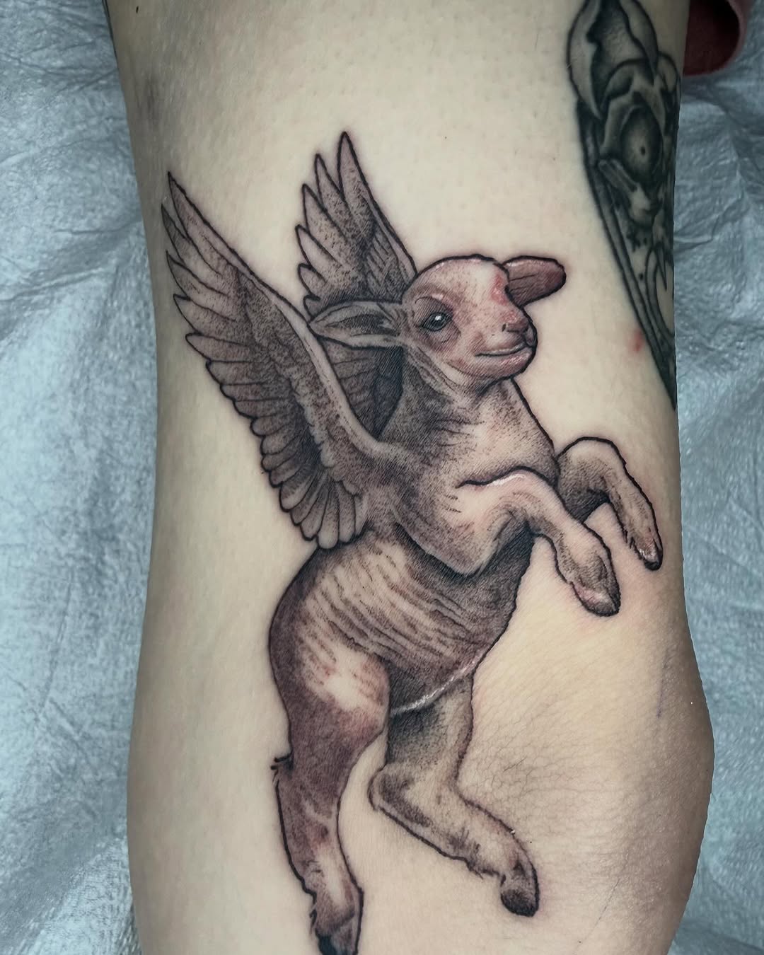 Tattoo by @tattoosbyemilyfalkowski — realism, black_and_grey