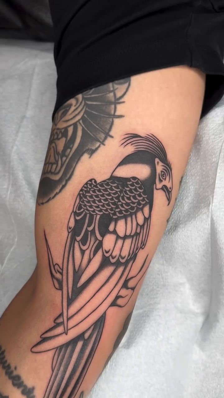 Tattoo by @madhamme — american_traditional