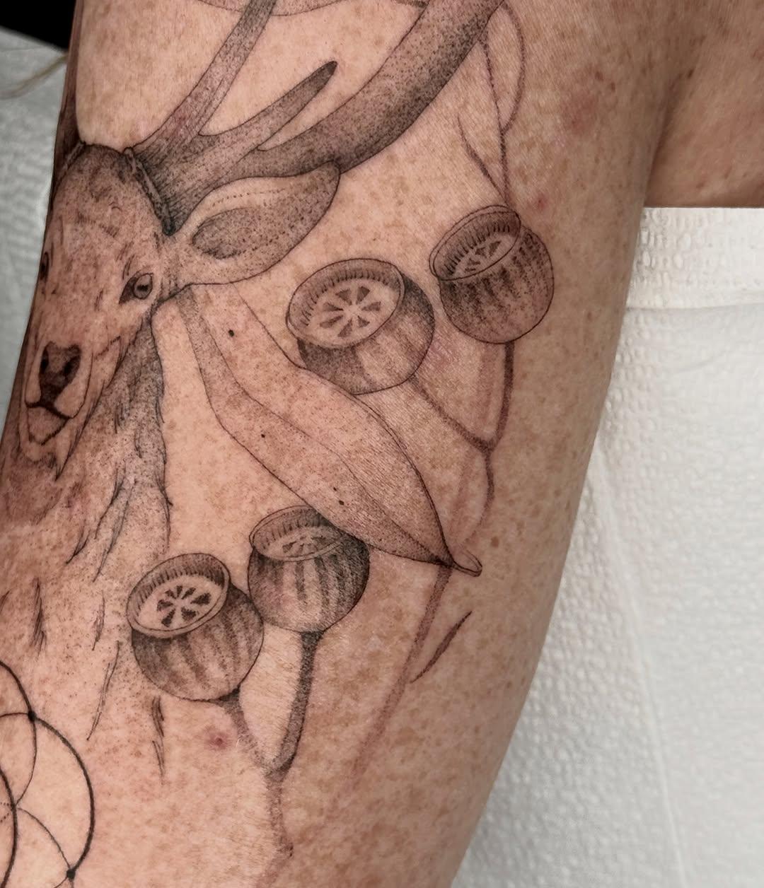 Tattoo by @mollymurrayink — realism, dotwork