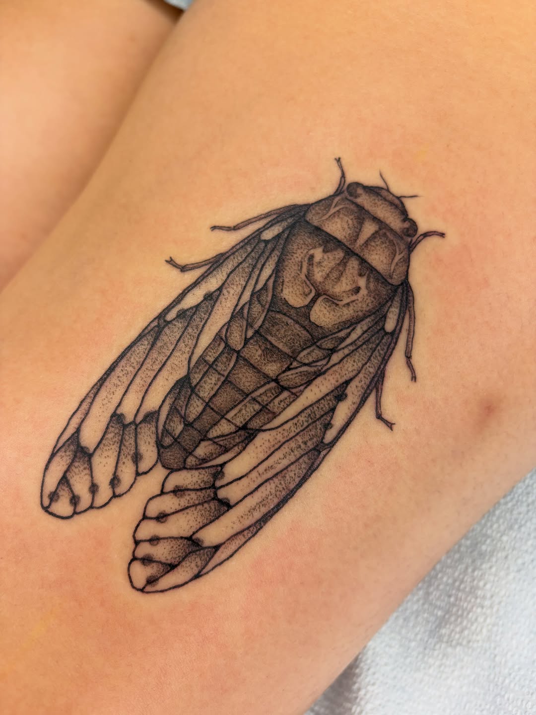 Tattoo by @bobibeanz — dotwork, realism