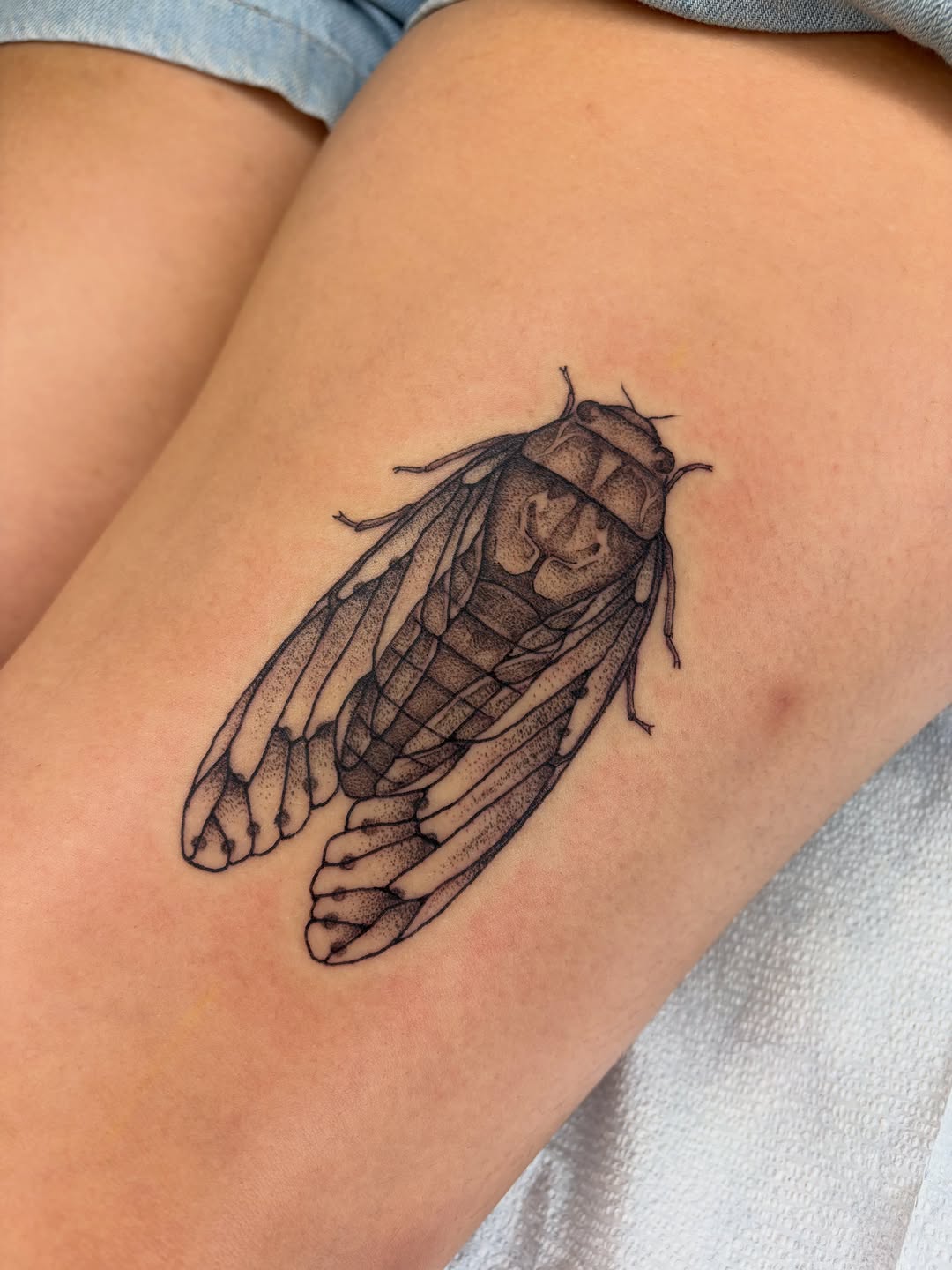 Tattoo by @bobibeanz — dotwork, realism