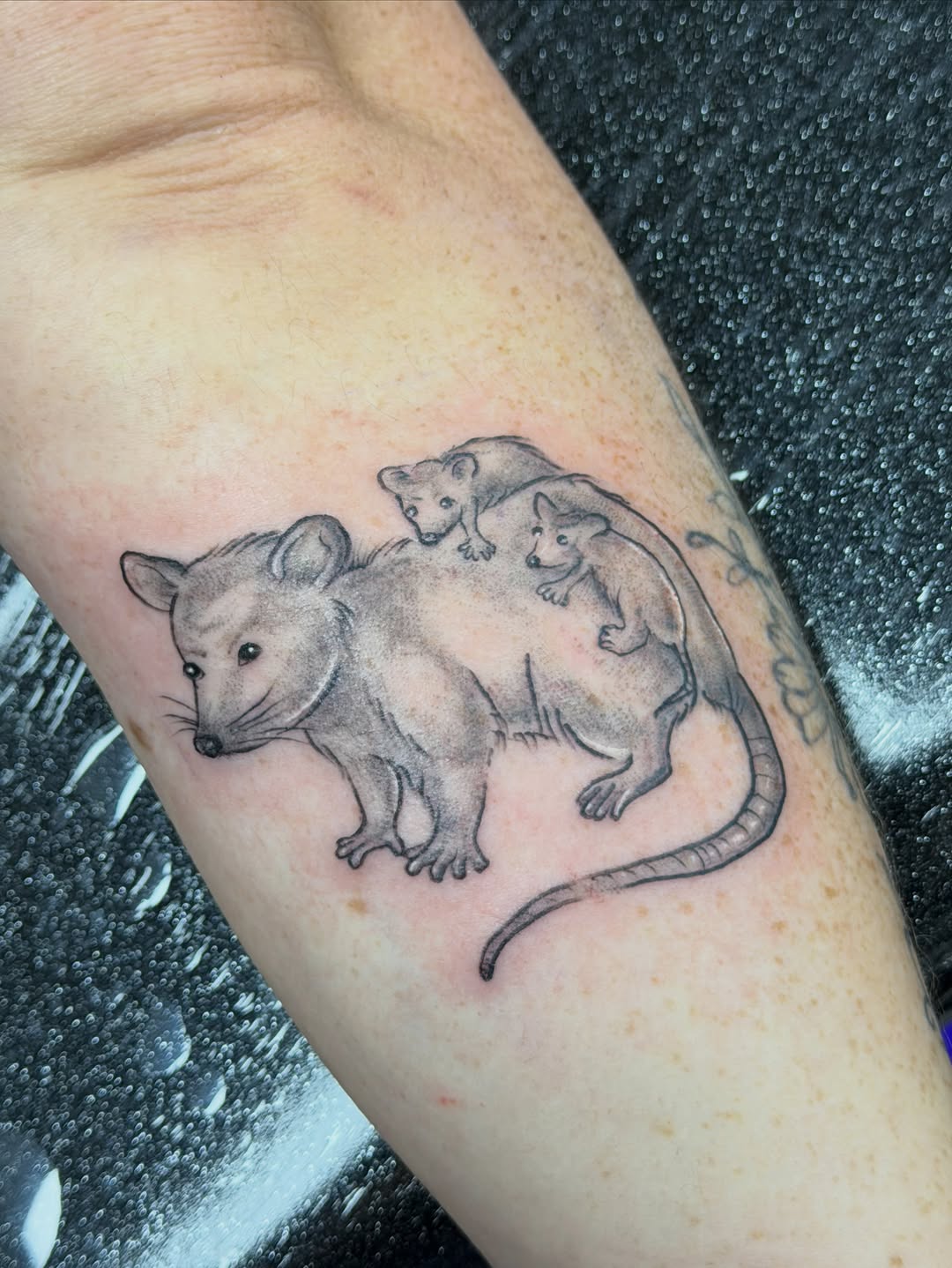 Tattoo by @smilemoretattoos — realism, black_and_grey