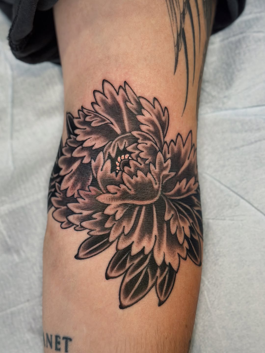 Tattoo by @laurynjenesis — japanese_irezumi, black_and_grey