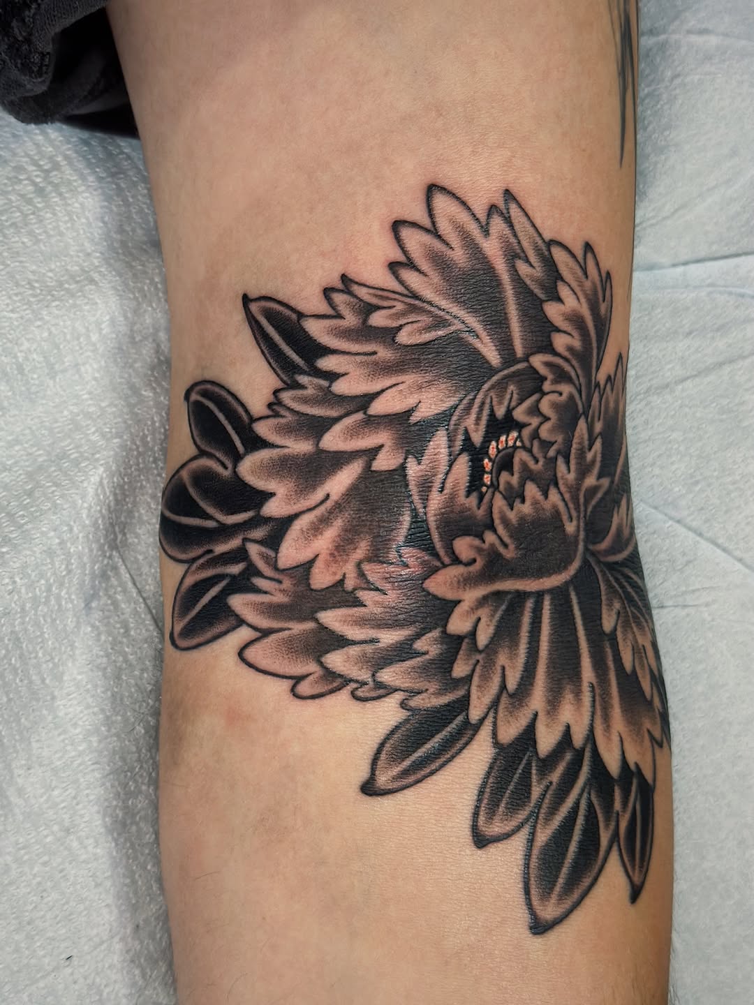 Tattoo by @laurynjenesis — japanese_irezumi, black_and_grey