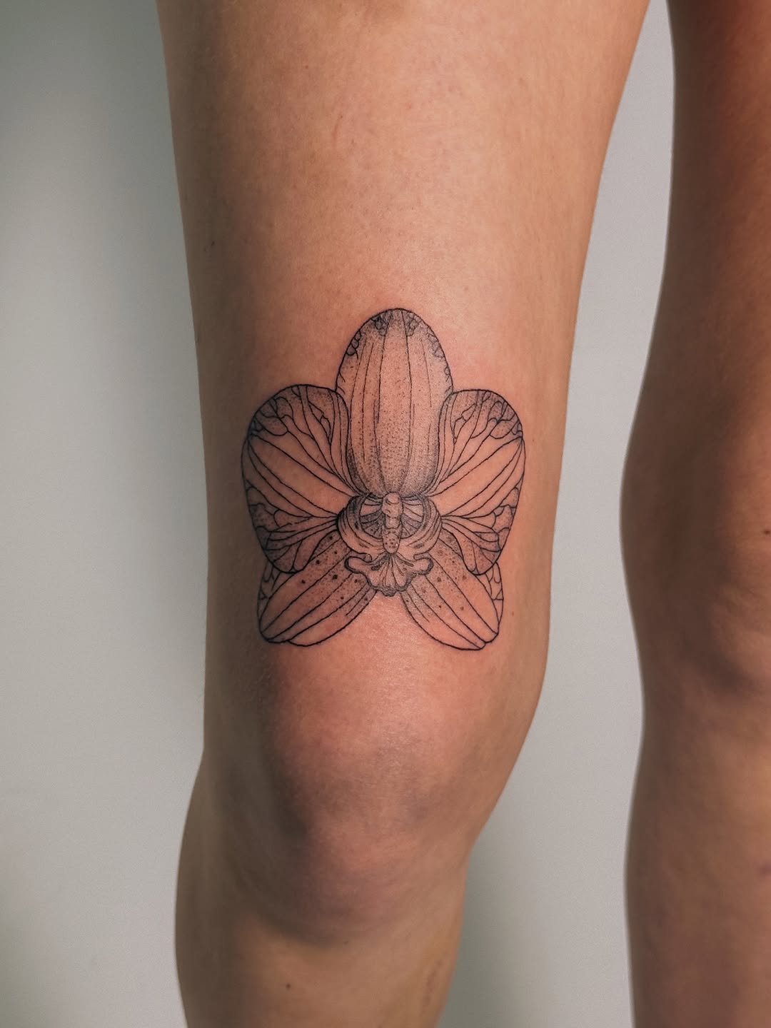 Tattoo by @artpavt — fine_line, dotwork