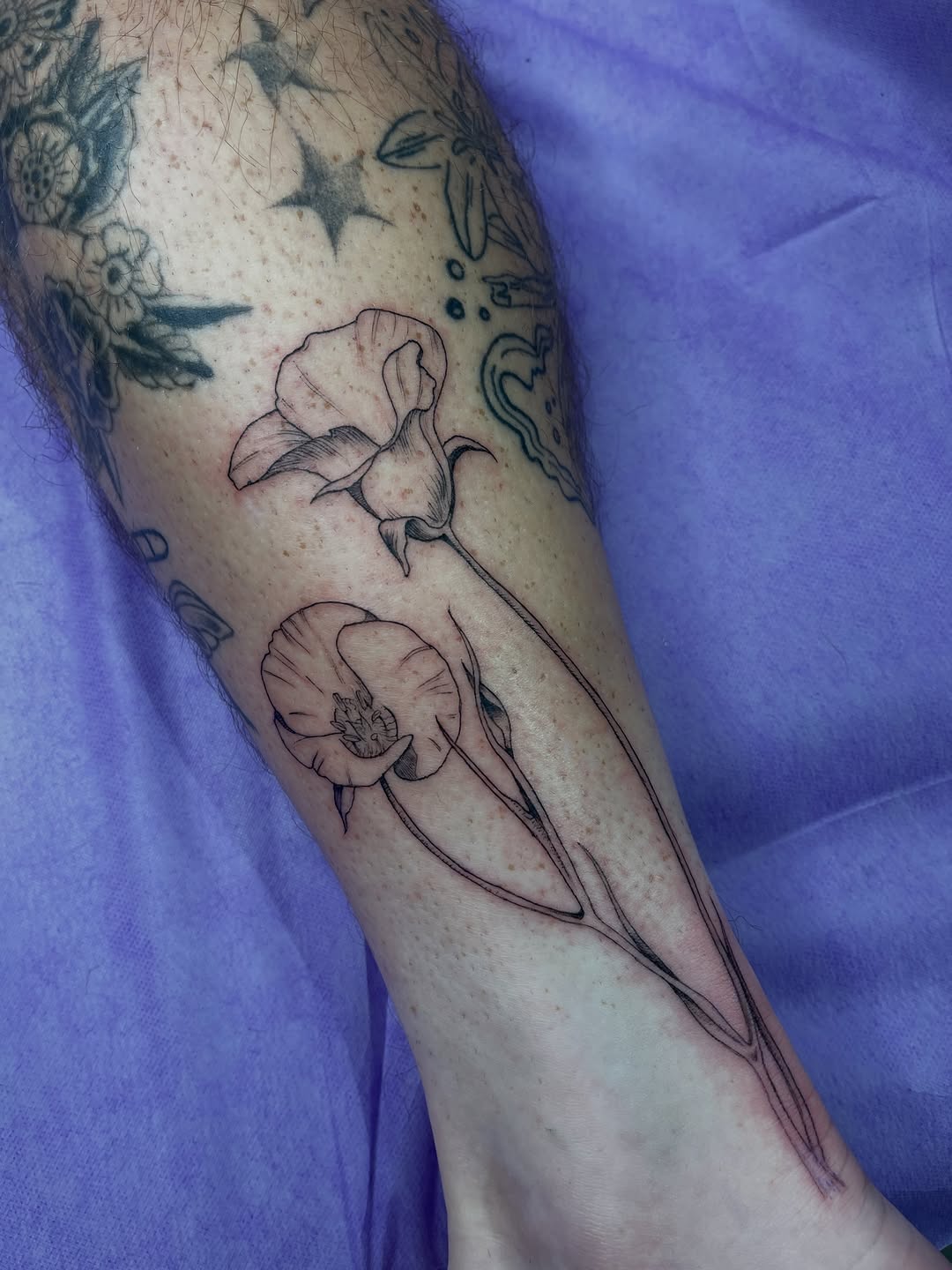 Tattoo by @pineneedlestattoo — fine_line, black_and_grey