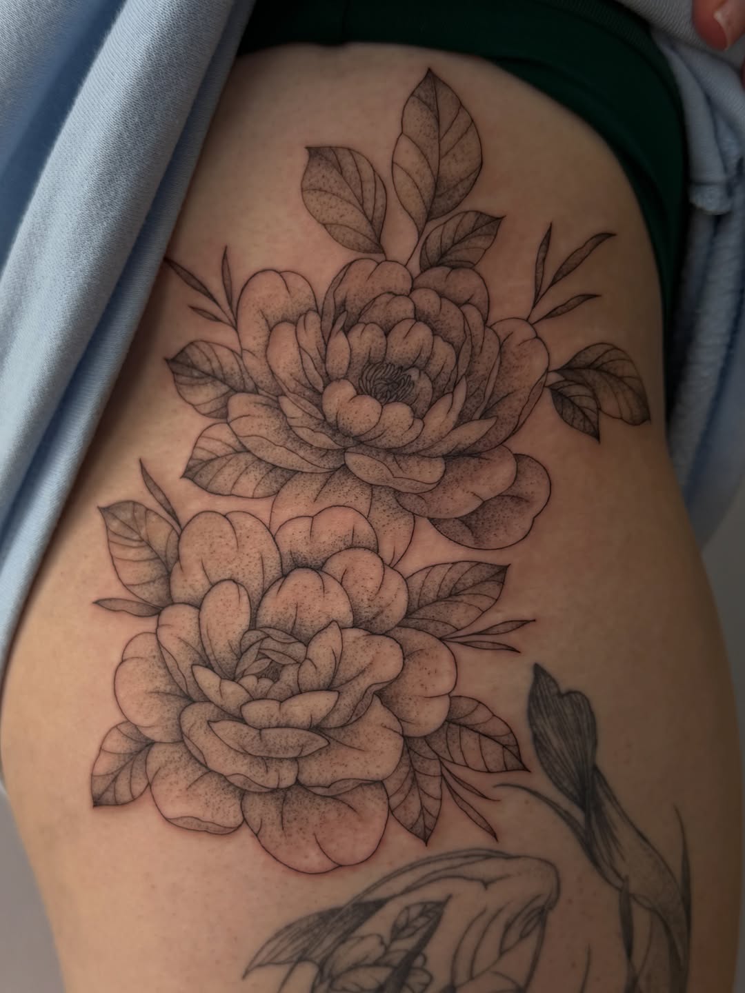 Tattoo by @heneseetattoo — dotwork, fine_line