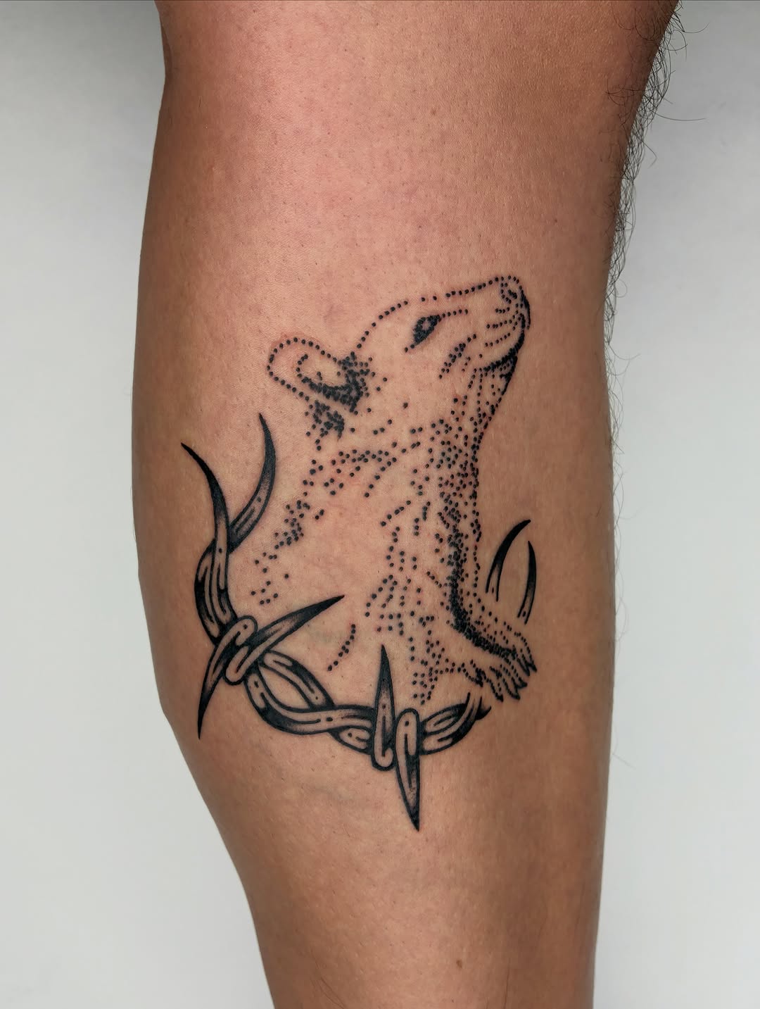 Tattoo by @sess_world — dotwork, blackwork