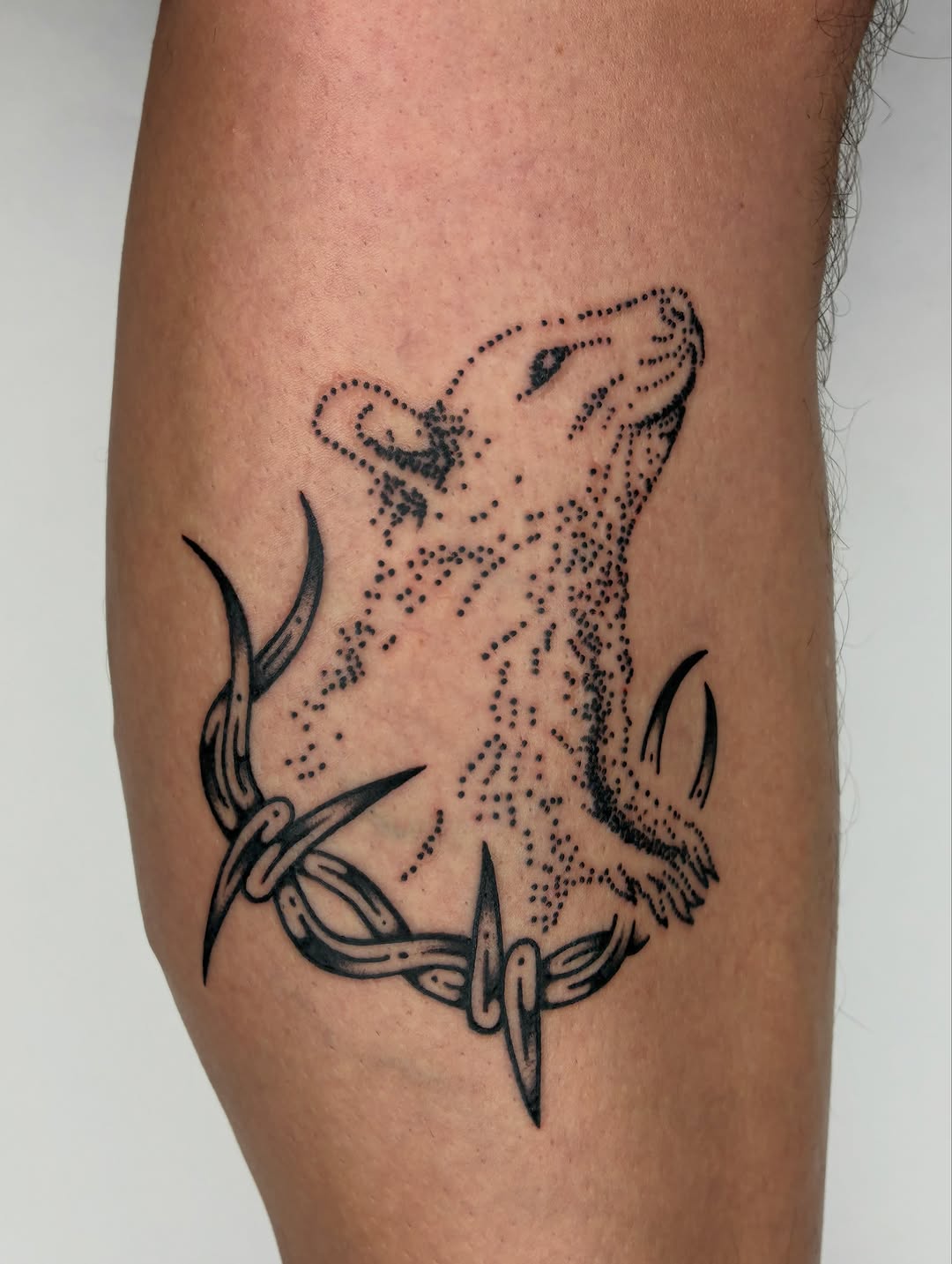 Tattoo by @sess_world — dotwork, blackwork