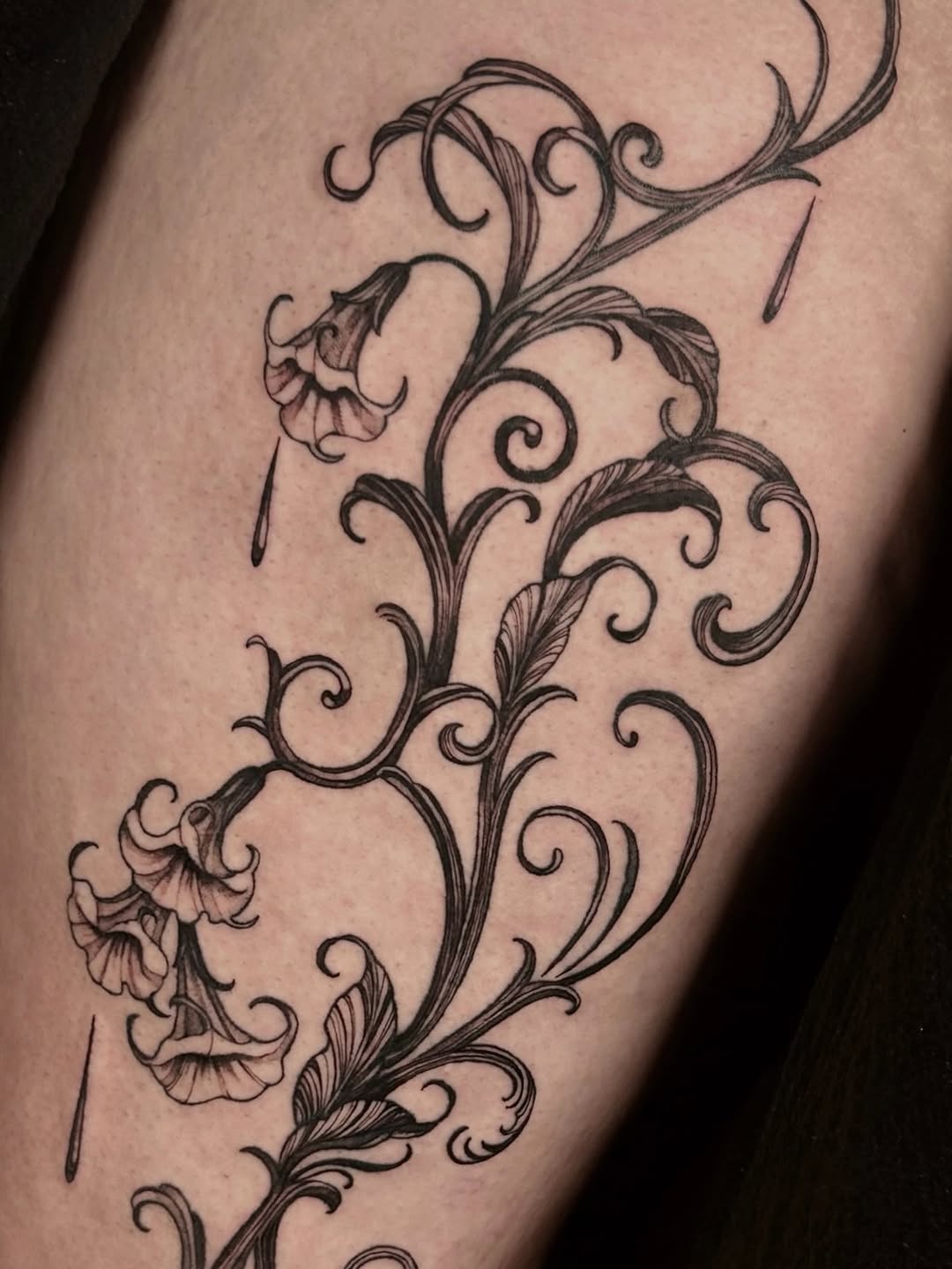 Tattoo by @pixisoda โ black_and_grey, ornamental