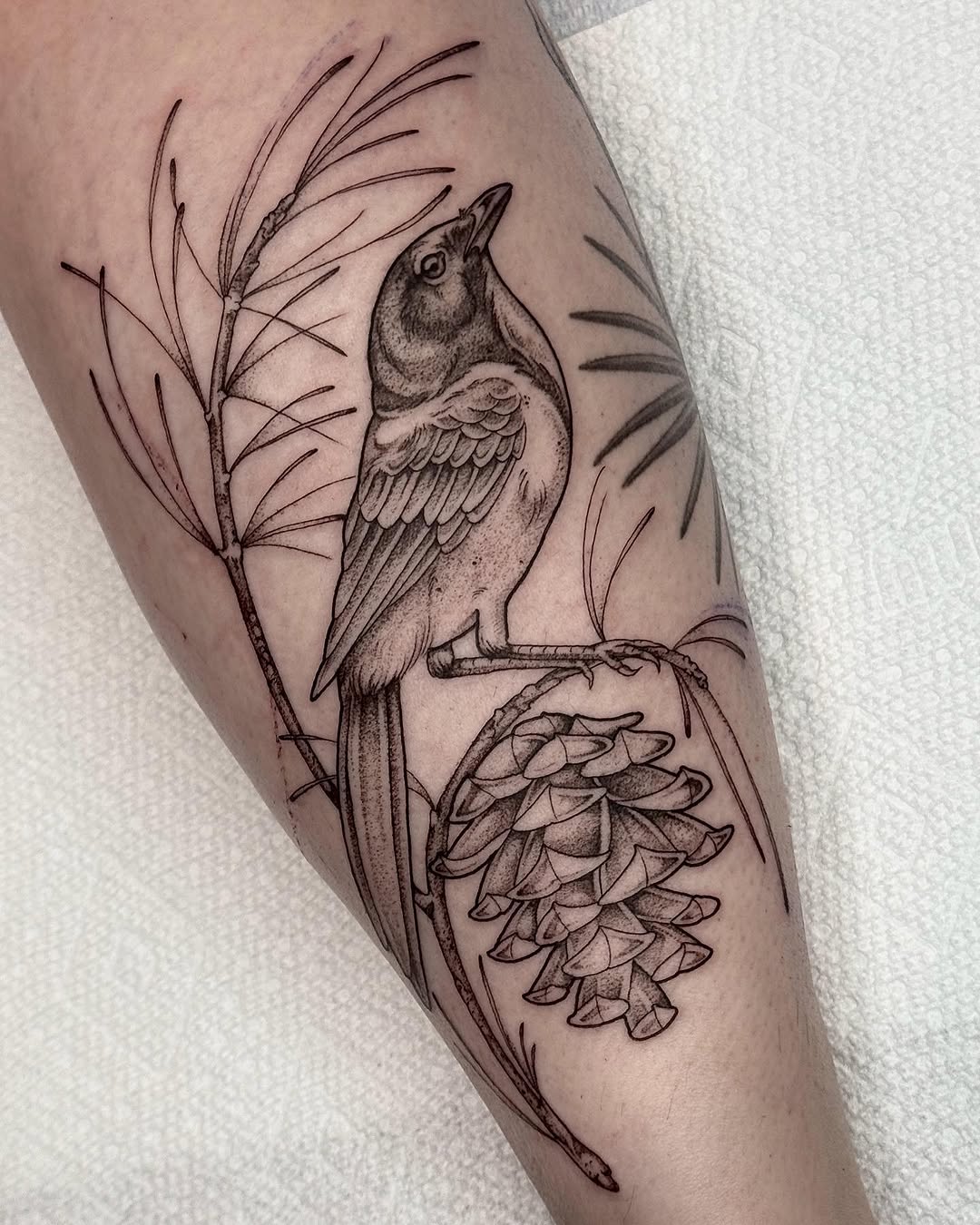 Tattoo by @horsegirltats — black_and_grey, realism
