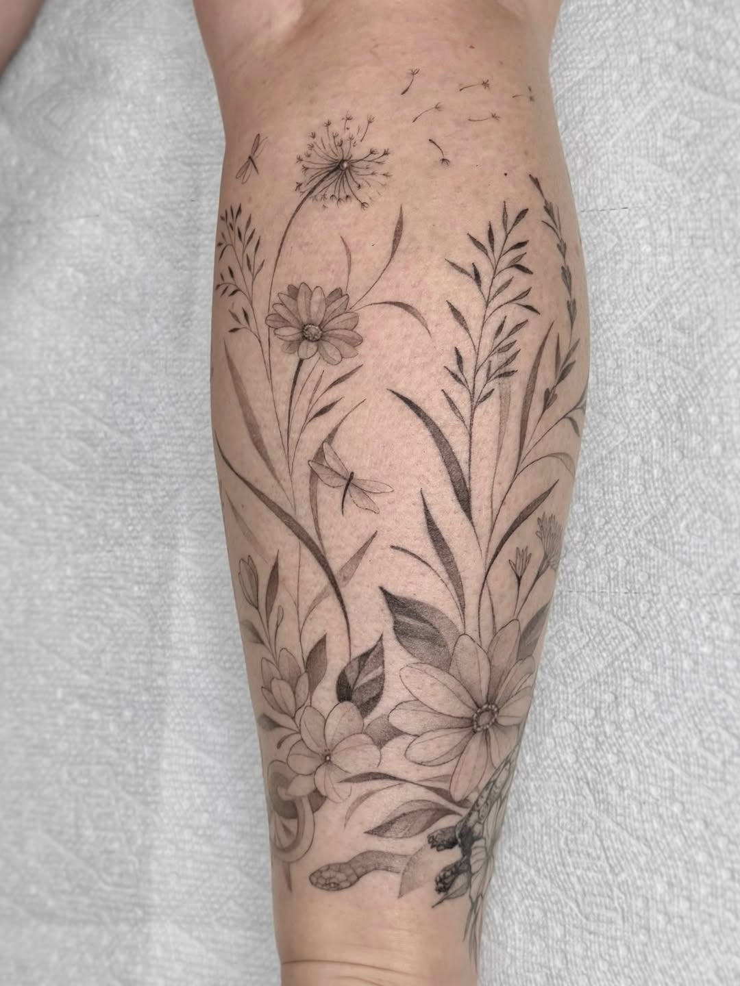 Tattoo by @jaxntheboxtattoos โ fine_line, black_and_grey