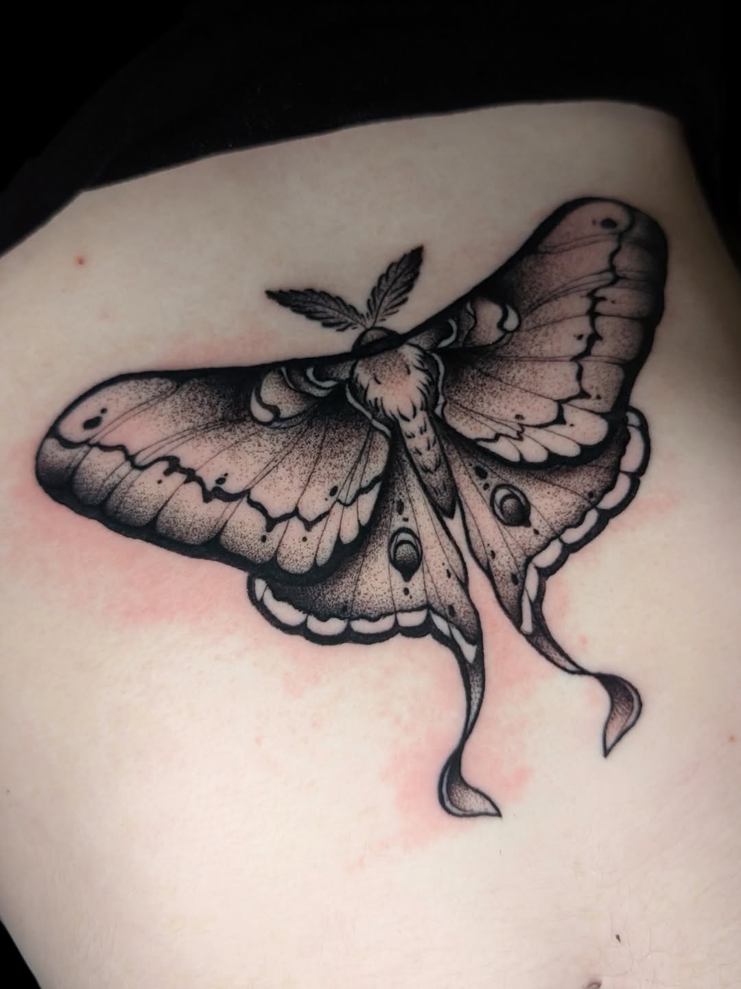 Tattoo by @cicadaqueen.ink — black_and_grey, dotwork