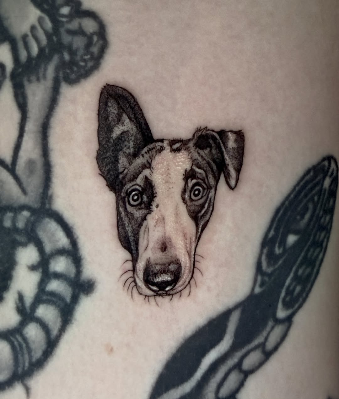 Tattoo by @mccollumtattoo โ realism, black_and_grey