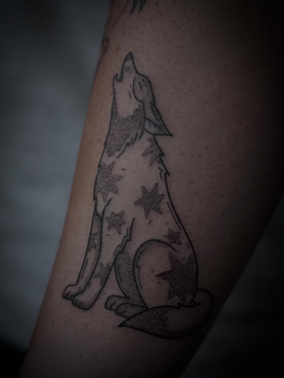 Tattoo by @spicy_sugarrr_tattoos — fine_line, dotwork