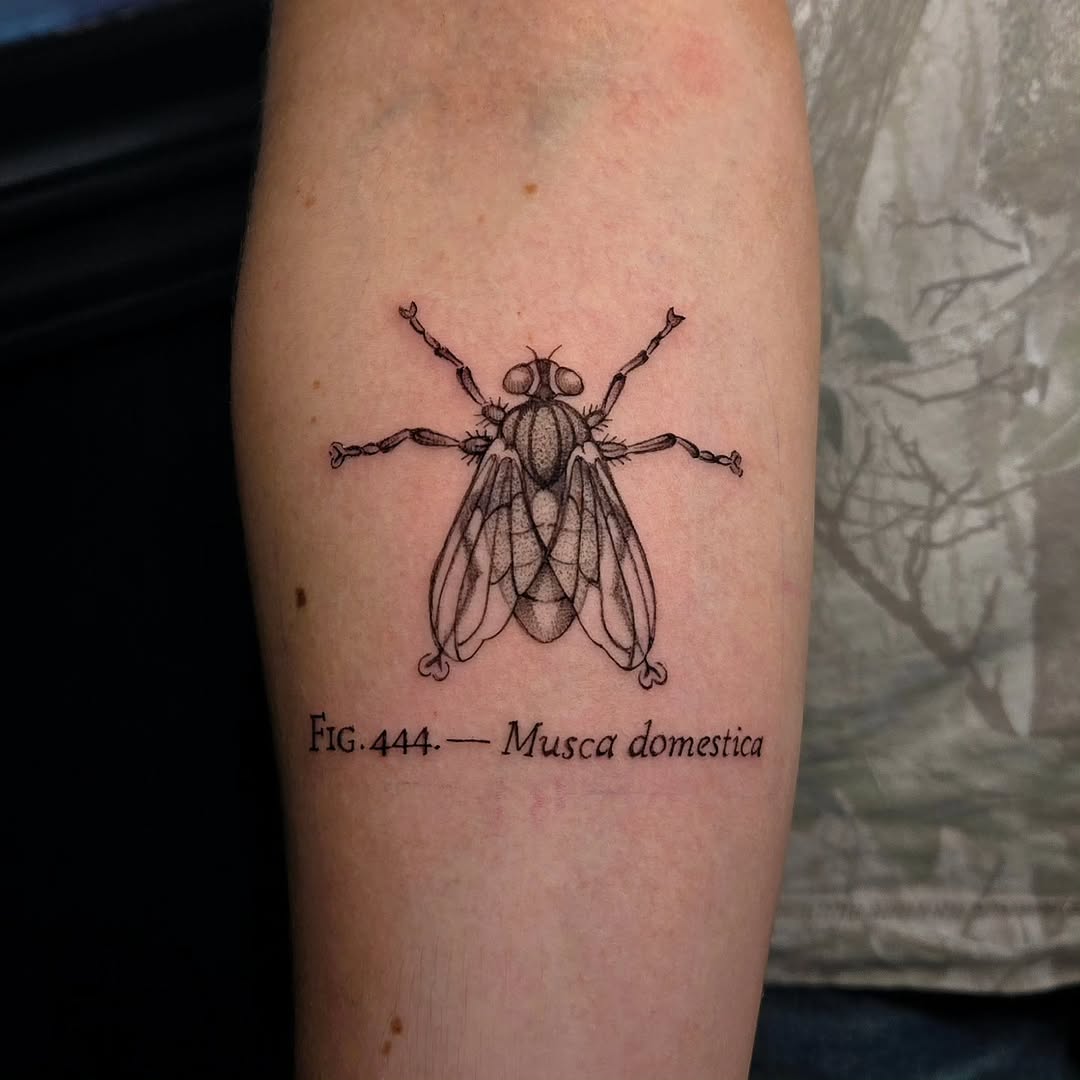 Tattoo by @glasswingtattoo โ black_and_grey, lettering_script