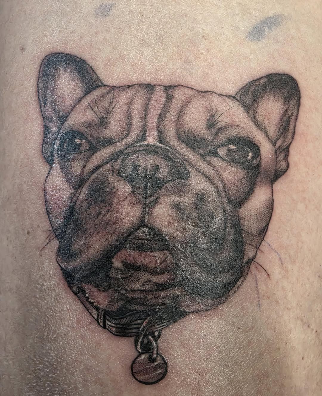 Tattoo by @shannongatesart — realism, black_and_grey
