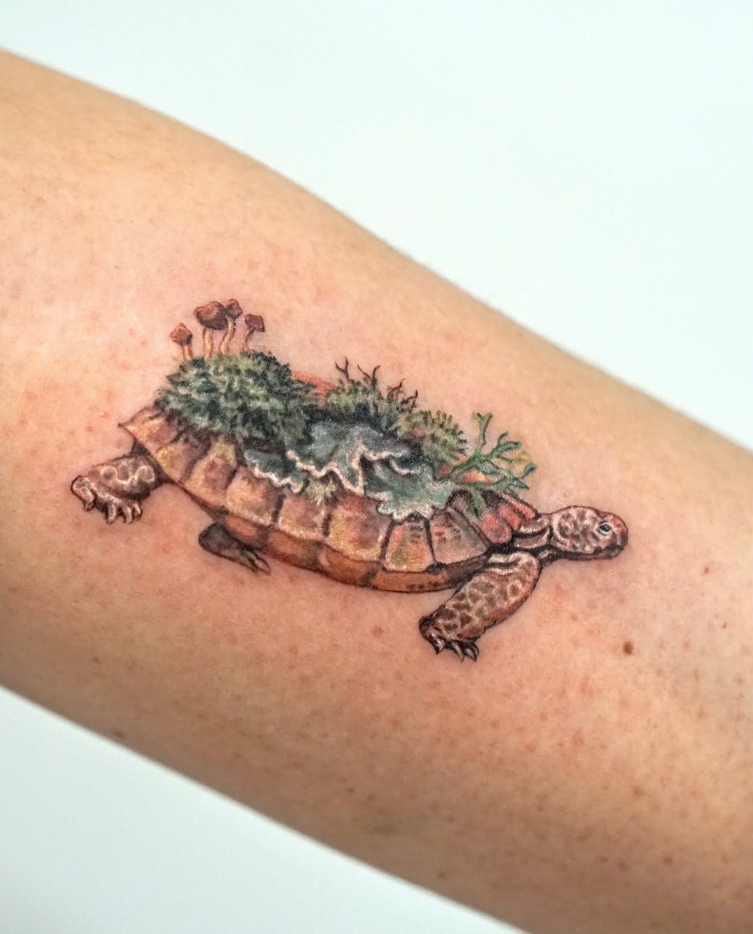 Tattoo by @1sle_tattoo — realism, illustrative