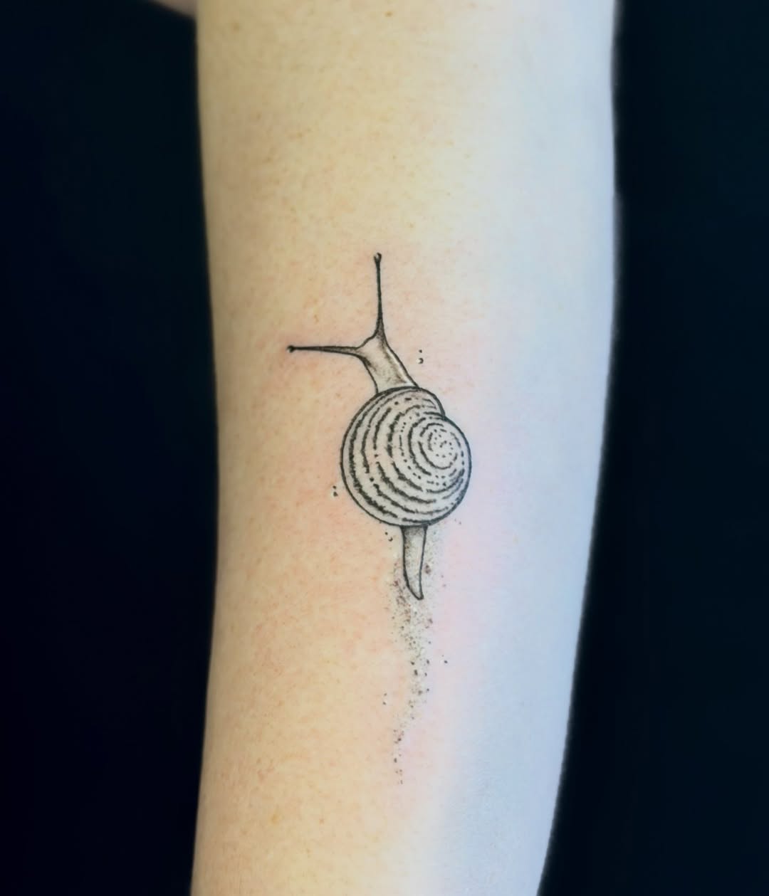 Tattoo by @sin_sidney_tatts — fine_line, dotwork