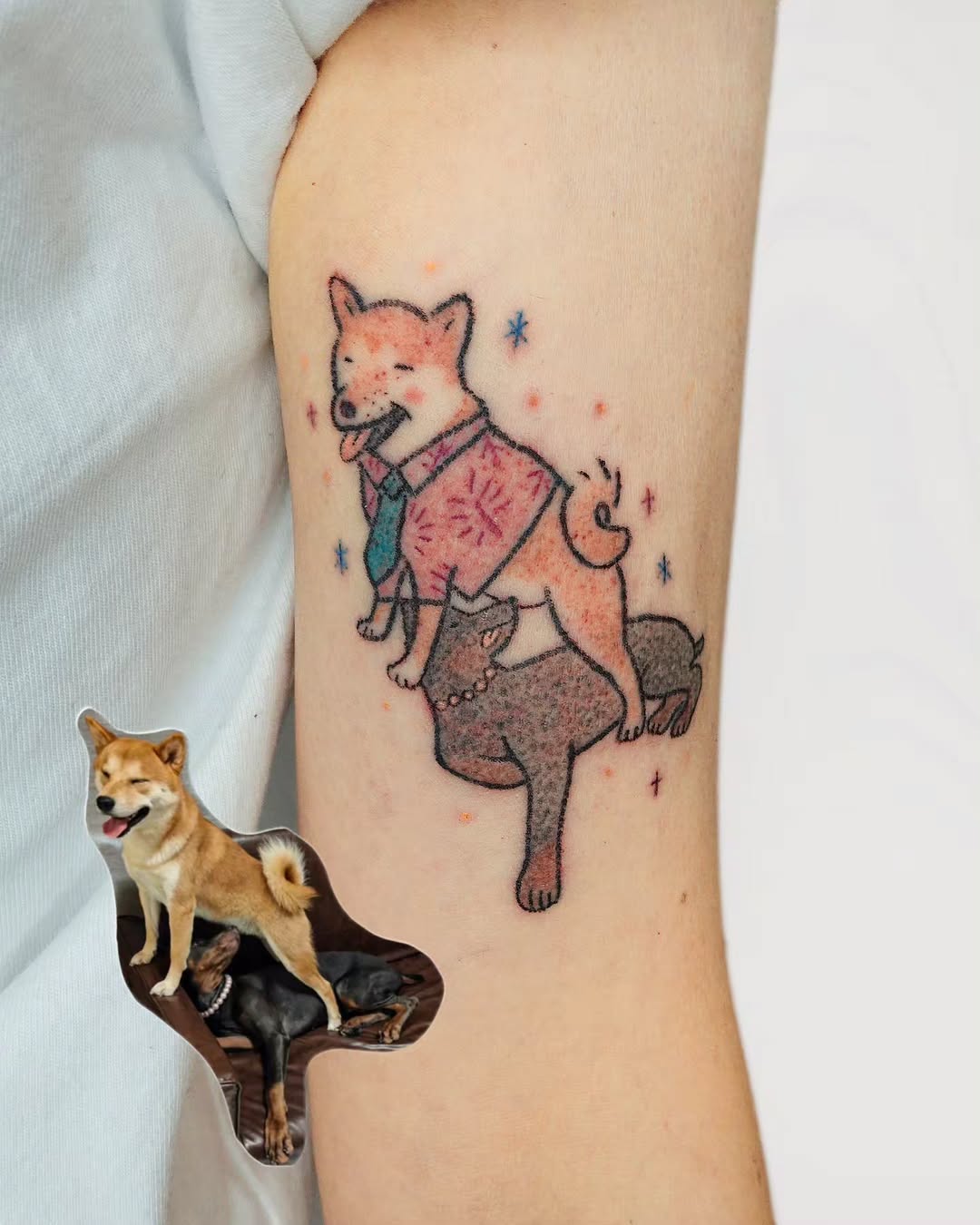 Tattoo by @catnip.tattoo — new_school, illustrative