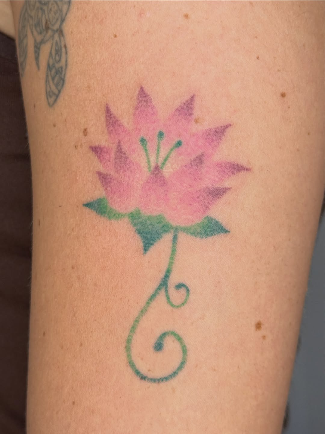 Tattoo by @alicexgreen — fine_line