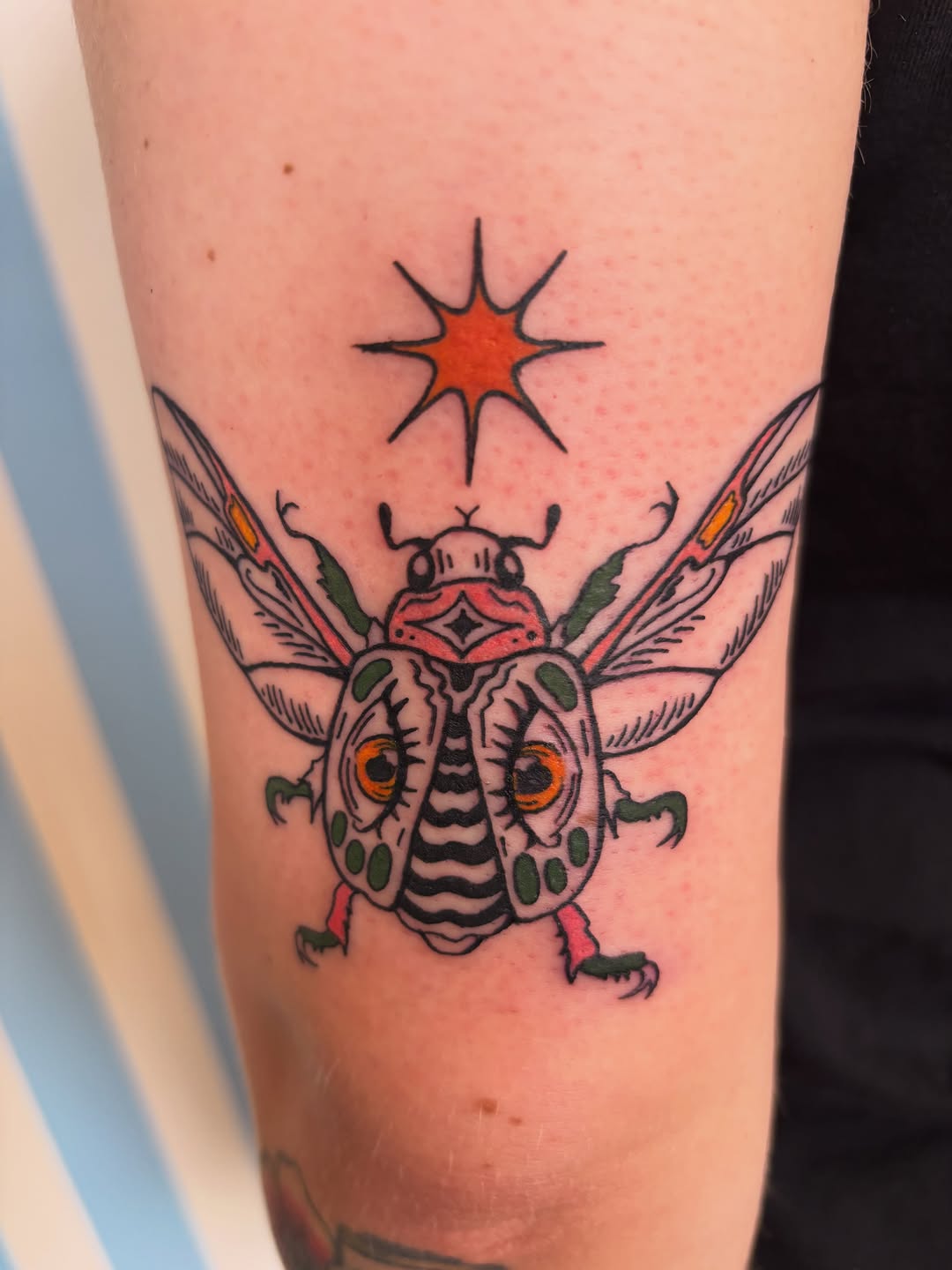 Tattoo by @ginkgo_inkk β neo_traditional