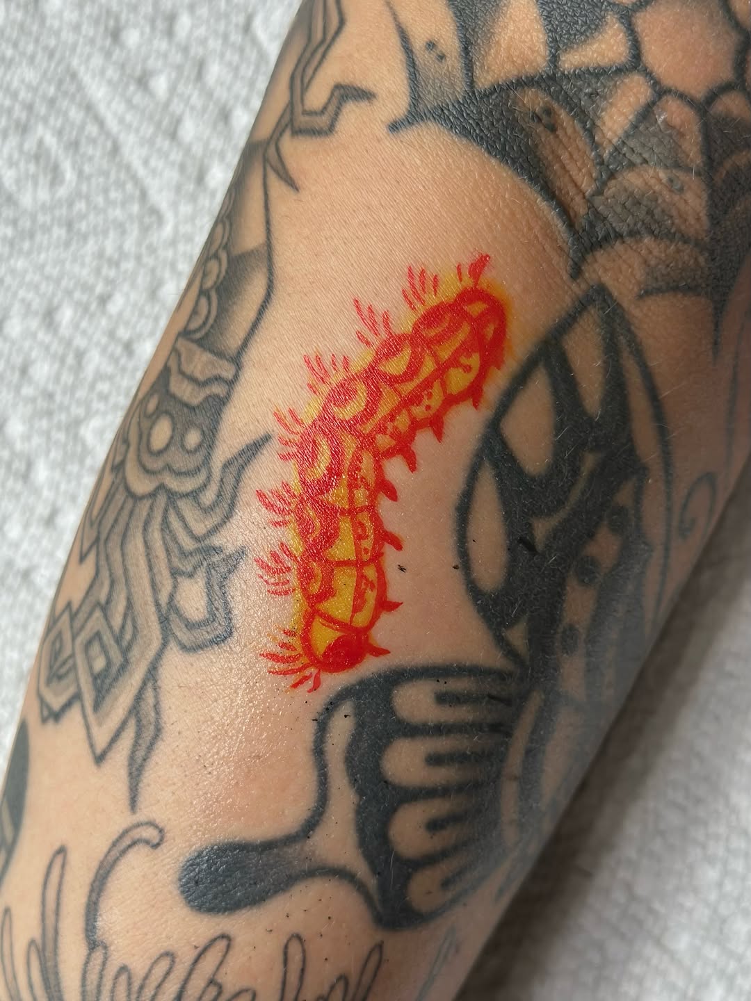Tattoo by @katfishtattoos — ignorant, new_school