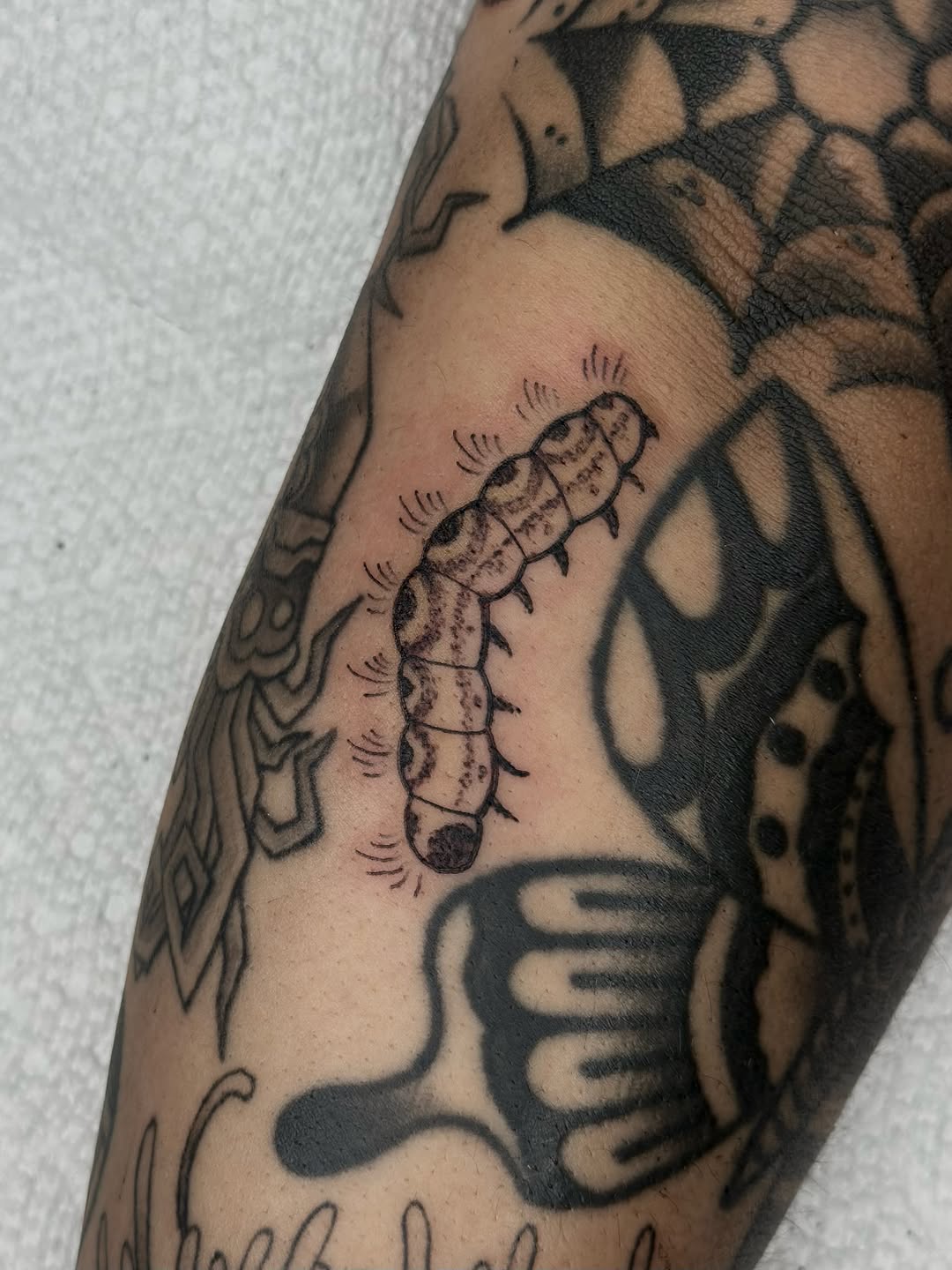Tattoo by @katfishtattoos — ignorant, sketch