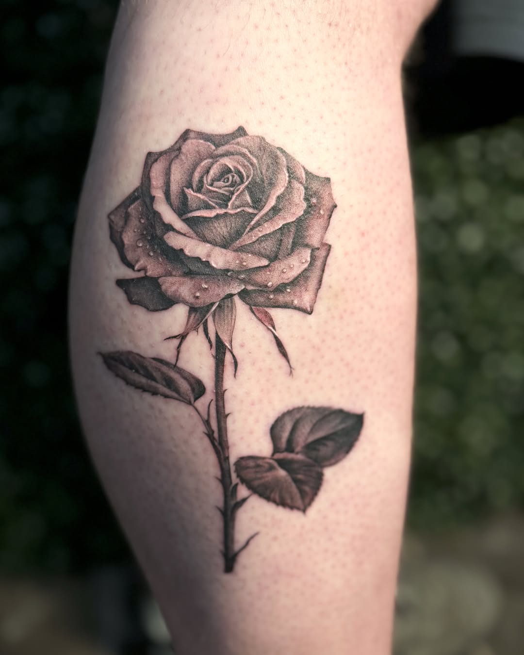 Tattoo by @raeanne.ink β realism, black_and_grey