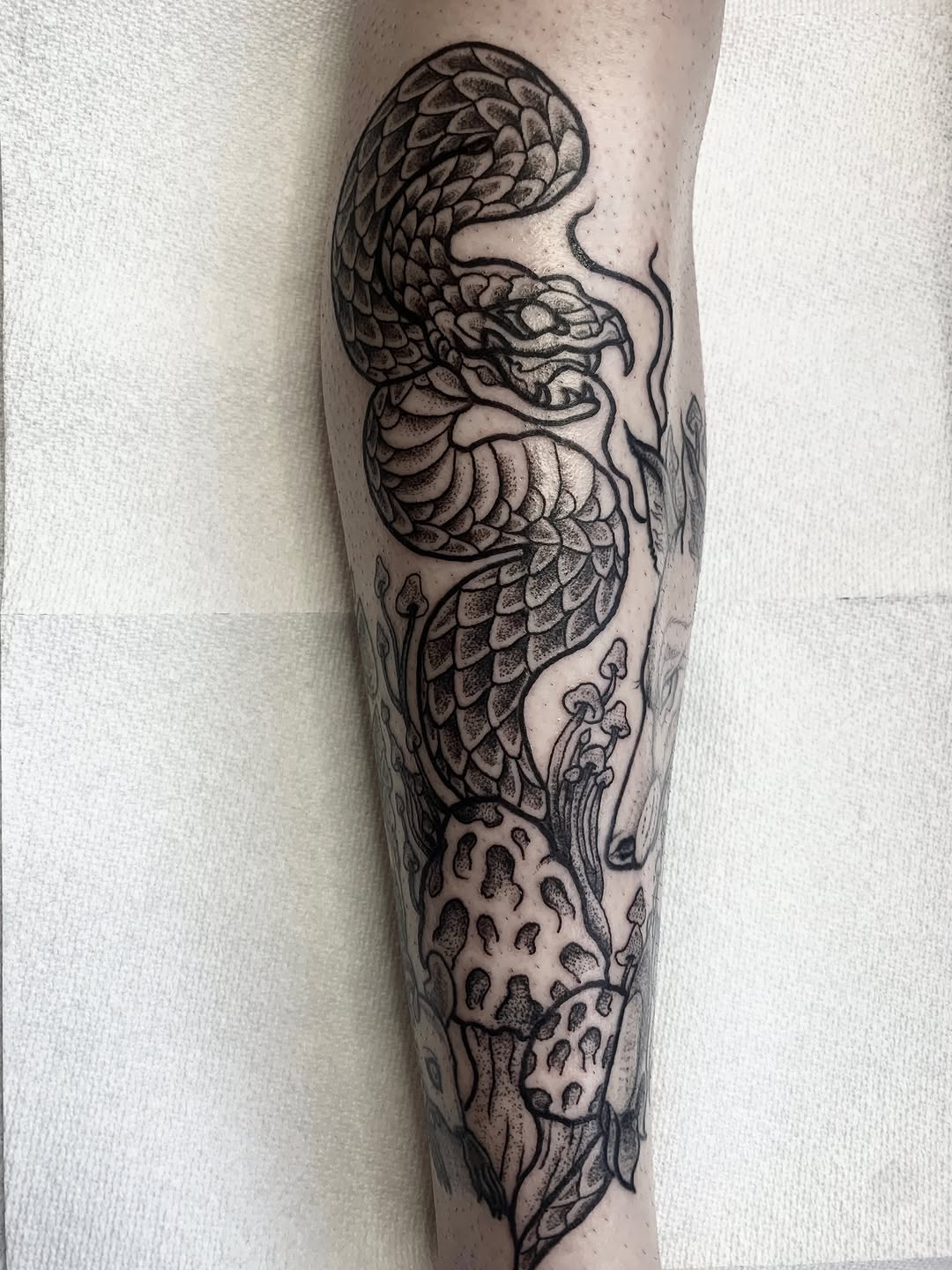 Tattoo by @leahelisabethtattoos — dotwork, black_and_grey