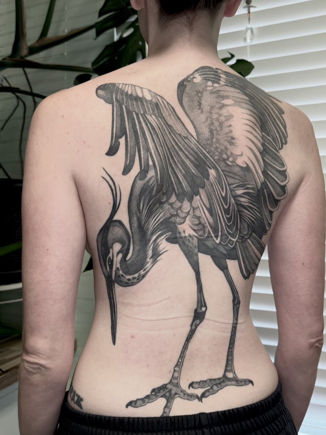 Tattoo by @jesskuesperttattoo — black_and_grey, dotwork