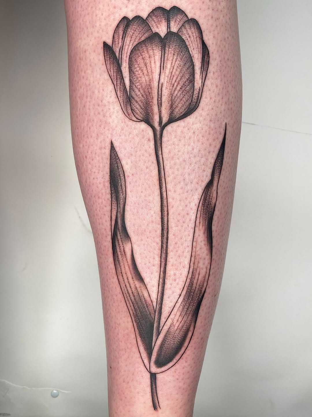 Tattoo by @lady_lively — black_and_grey, realism