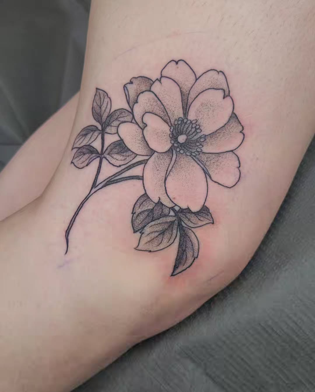 Tattoo by @melancholy.moth.tattoo — fine_line, dotwork
