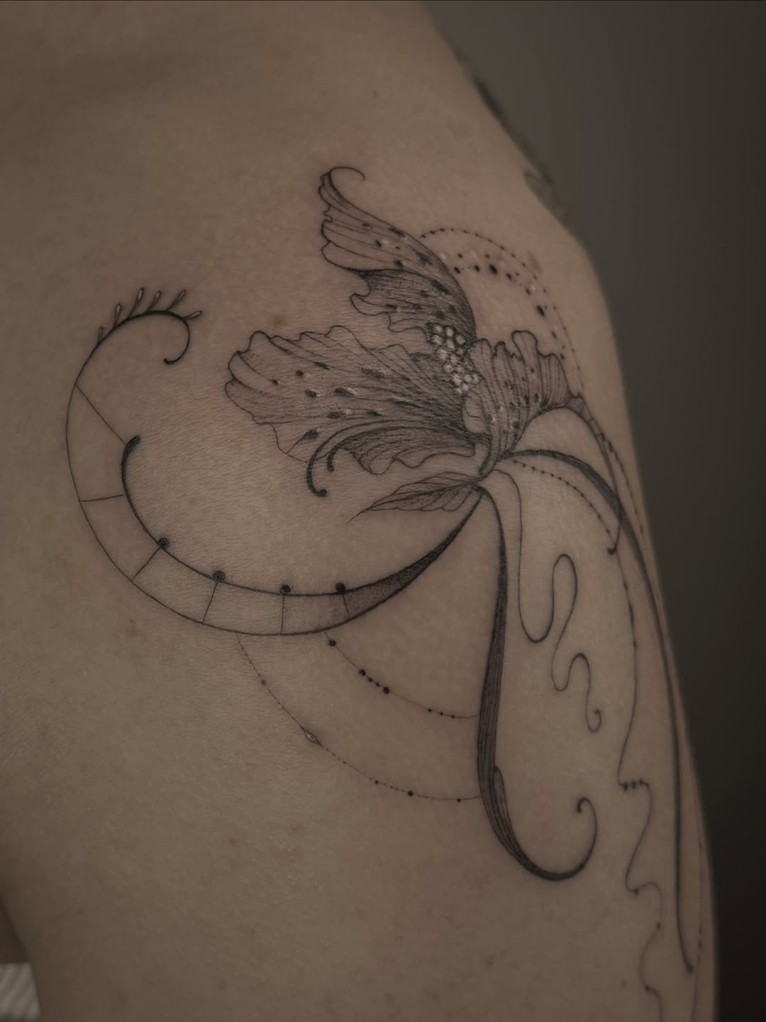Tattoo by @ermetica_tattoo — fine_line, dotwork