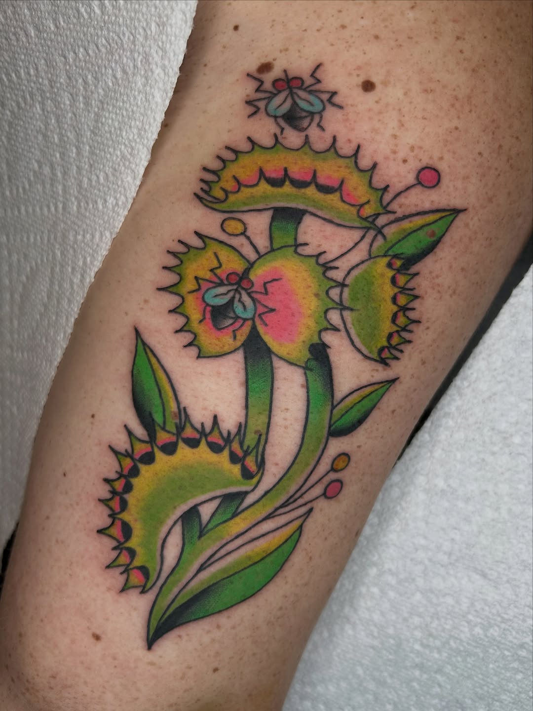 Tattoo by @chammertattoos — american_traditional
