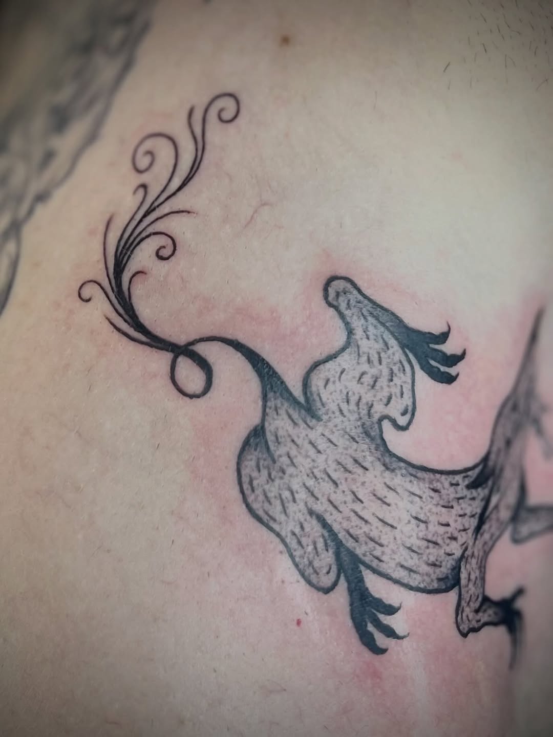 Tattoo by @imaginary_rubbish — black_and_grey, illustrative