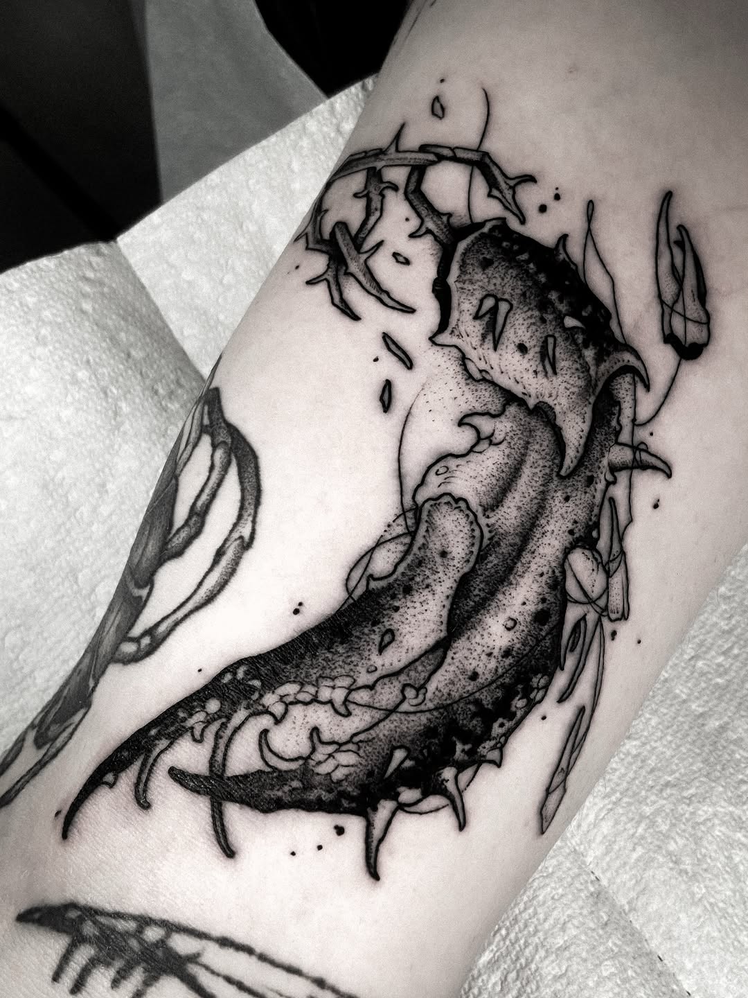 Tattoo by @bunche_tattoo โ blackwork, dotwork