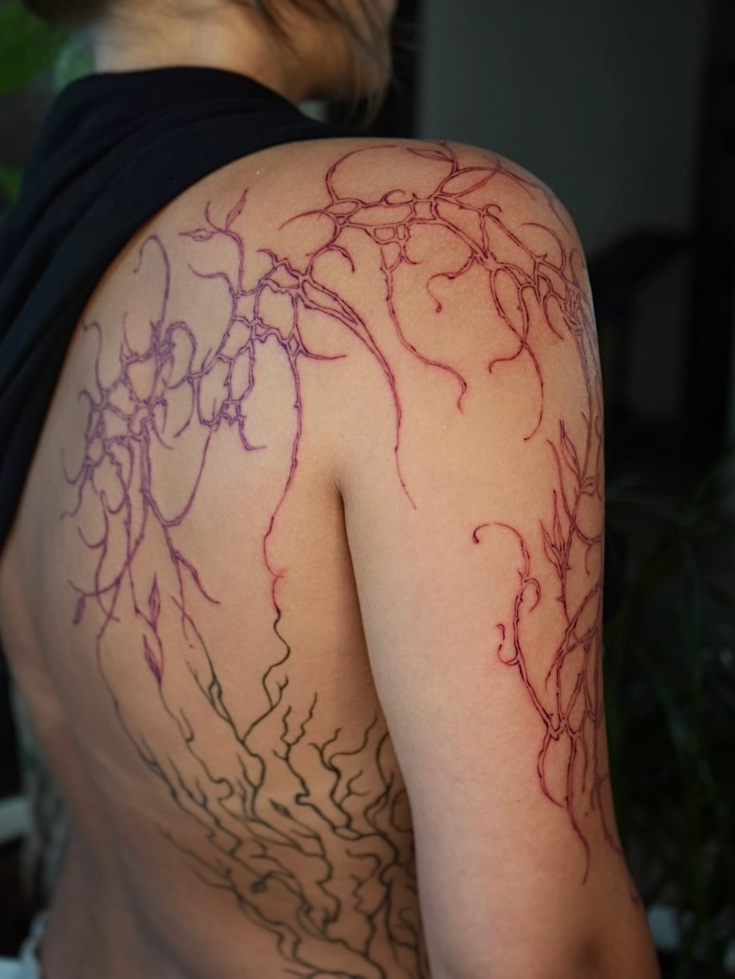 Tattoo by @tattooist_veni — fine_line, illustrative