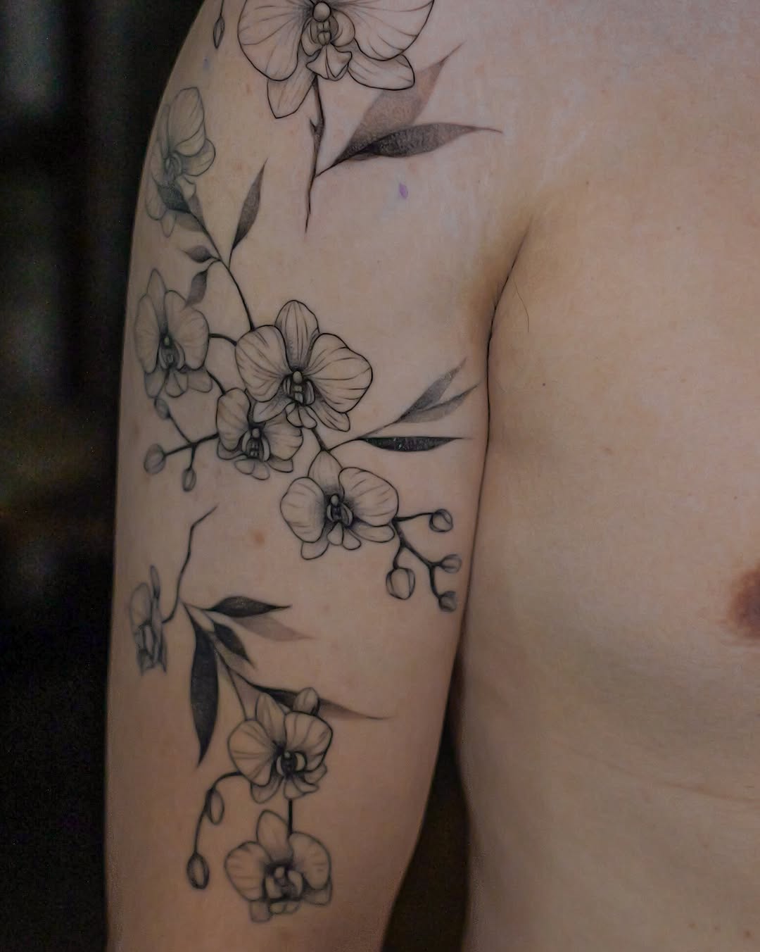 Tattoo by @minto.tattoo โ fine_line, black_and_grey