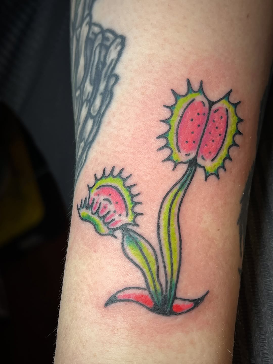 Tattoo by @straydoggiestyle โ american_traditional