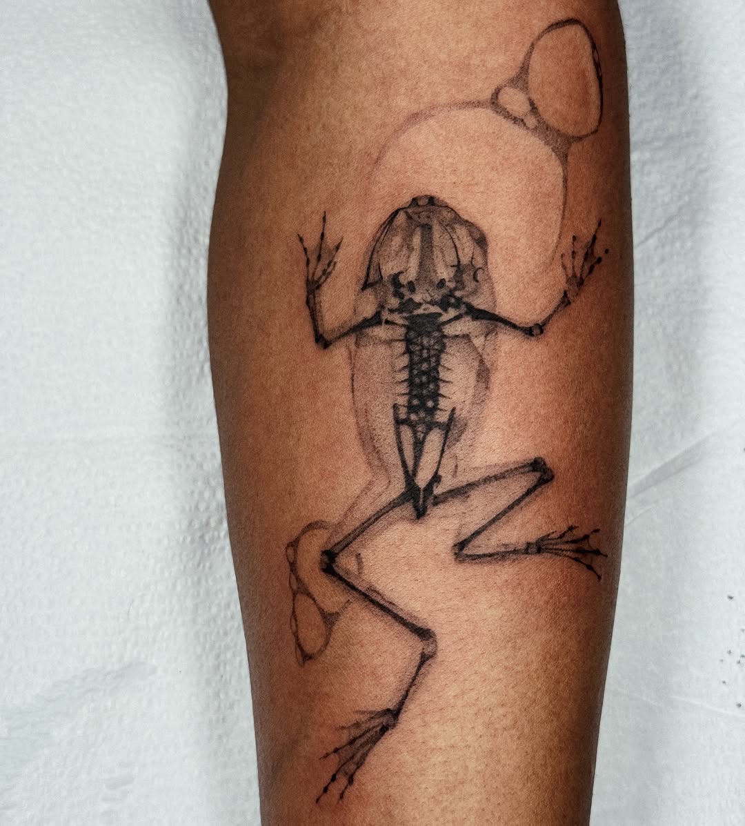 Tattoo by @mollymurrayink — black_and_grey, realism