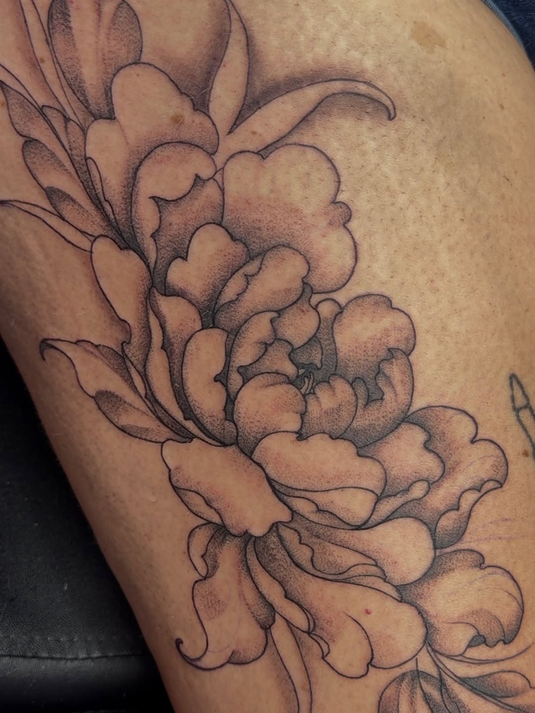 Tattoo by @tatsbycurtii — black_and_grey, dotwork