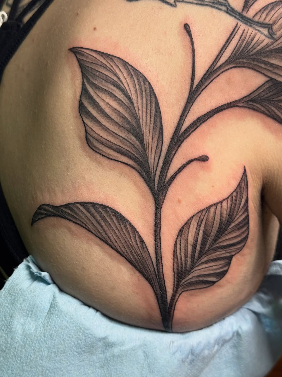 Tattoo by @lilymyriatattoos — black_and_grey, fine_line