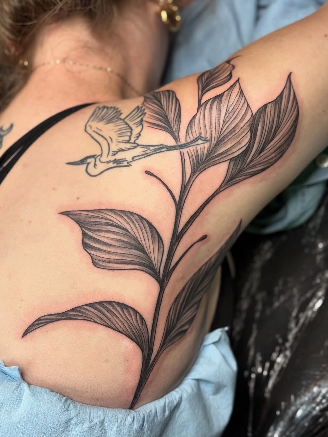 Tattoo by @lilymyriatattoos — black_and_grey, fine_line